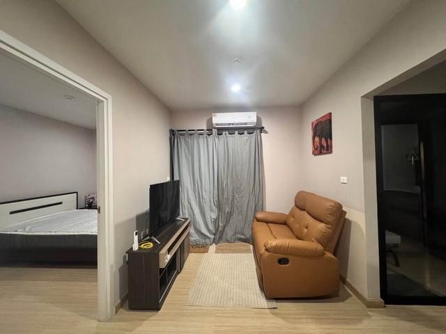 เช่าคอนโด เดอะทรี อ่อนนุช สเตชั่น คอนโดมิเนียม - Condo Rental The Tree Onnut Station condominium - 3173009