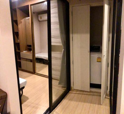เช่าคอนโด เดอะทรี อ่อนนุช สเตชั่น คอนโดมิเนียม - Condo Rental The Tree Onnut Station condominium - 3173006