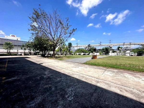 เช่าคอนโด ถนนเทพารักษ์ - Condo Rental   - 3173791
