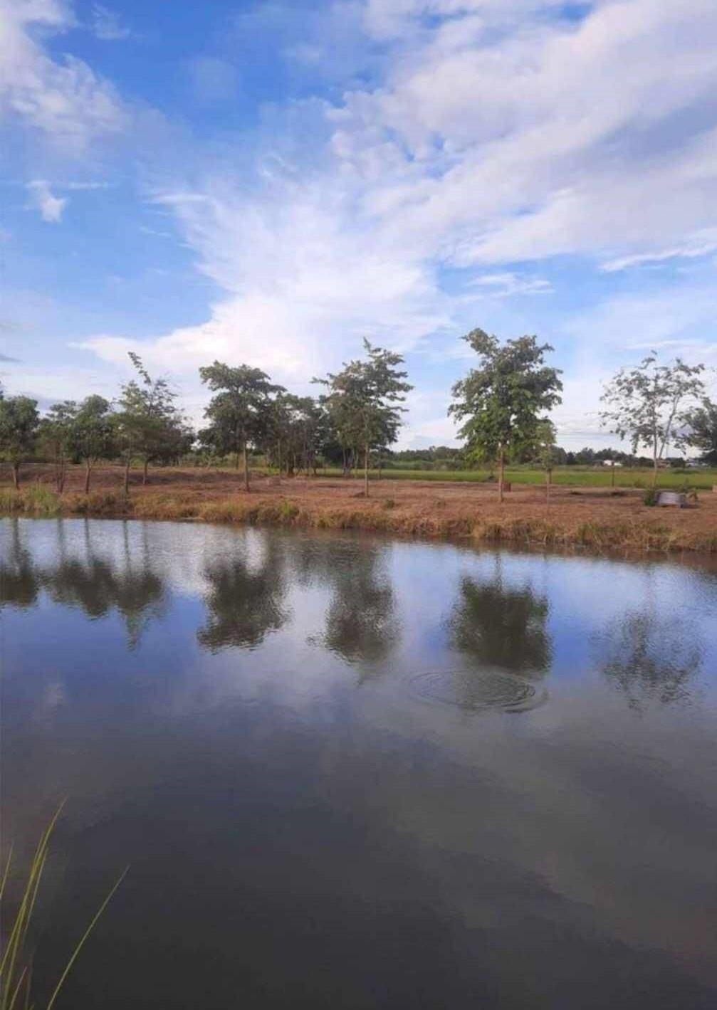 ขายคอนโด ต.บ้านกล้วย อ.เมือง จ.สุโขทัย 64000 - Sell Condo   - 3173925