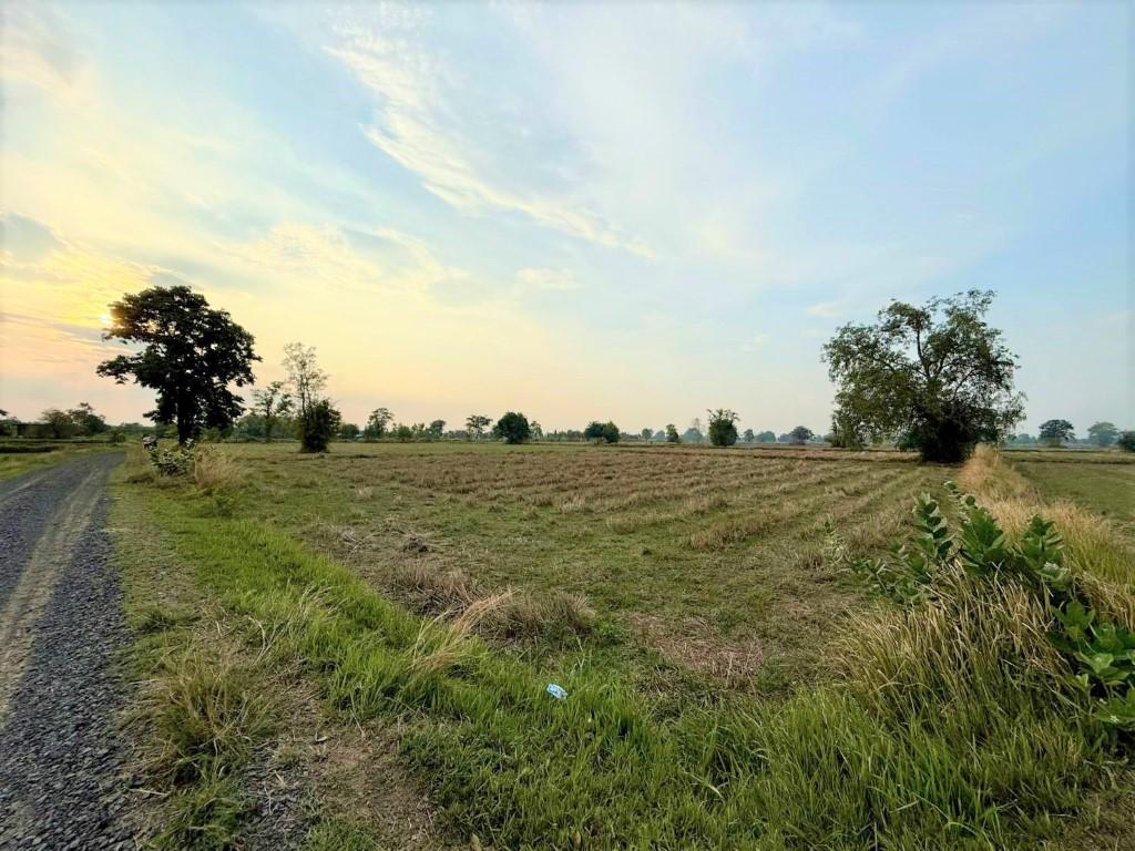 ขายคอนโด ต.บ้านด่าน อ.บ้านด่าน จ.บุรีรัมย์ 31000 - Sell Condo   - 3178400