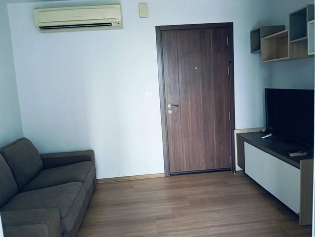 เช่าคอนโด เดอะ เบส สุขุมวิท77 คอนโดมิเนียม - Condo Rental The Base Sukhumvit77 condominium - 3180761